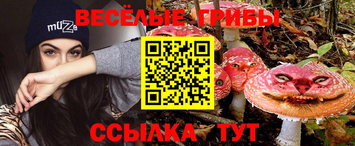 Галлюциногенные грибы мицелий  Галлюциногенные грибы мицелий  Королёв  Вход с VPN 
